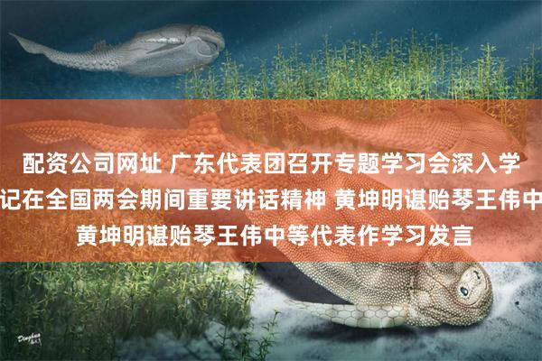 配资公司网址 广东代表团召开专题学习会深入学习贯彻习近平总书记在全国两会期间重要讲话精神 黄坤明谌贻琴王伟中等代表作学习发言