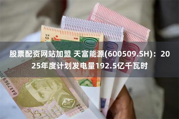 股票配资网站加盟 天富能源(600509.SH)：2025年度计划发电量192.5亿千瓦时
