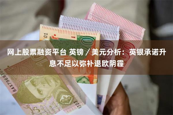 网上股票融资平台 英镑／美元分析：英银承诺升息不足以弥补退欧阴霾