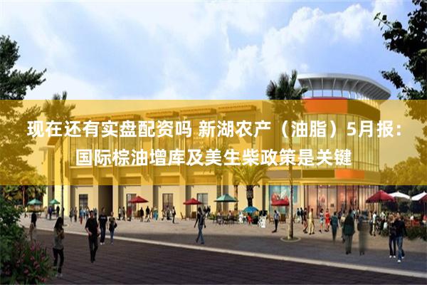 现在还有实盘配资吗 新湖农产（油脂）5月报：国际棕油增库及美生柴政策是关键