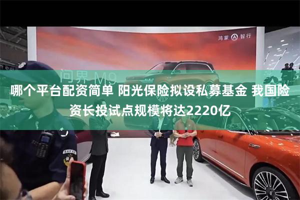 哪个平台配资简单 阳光保险拟设私募基金 我国险资长投试点规模将达2220亿