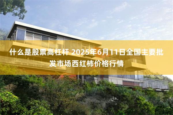 什么是股票高杠杆 2025年6月11日全国主要批发市场西红柿价格行情
