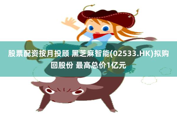 股票配资按月投顾 黑芝麻智能(02533.HK)拟购回股份 最高总价1亿元