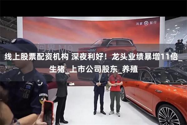线上股票配资机构 深夜利好！龙头业绩暴增11倍_生猪_上市公司股东_养殖