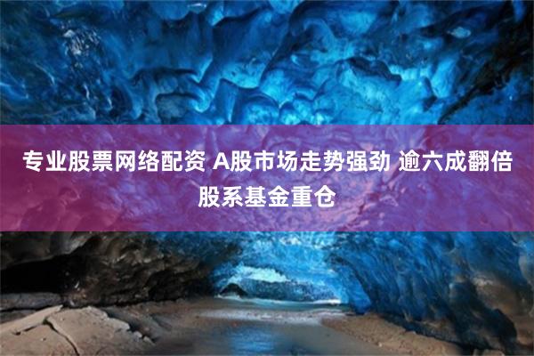 专业股票网络配资 A股市场走势强劲 逾六成翻倍股系基金重仓