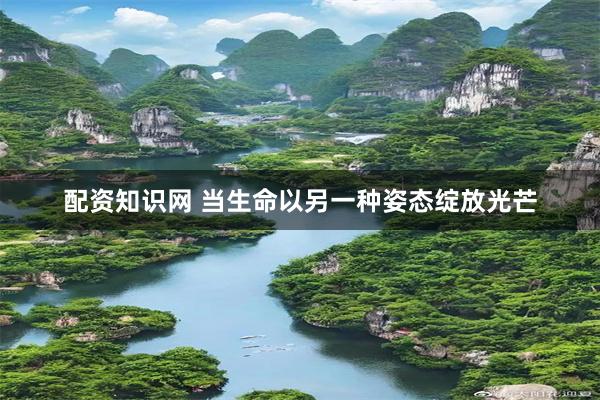 配资知识网 当生命以另一种姿态绽放光芒